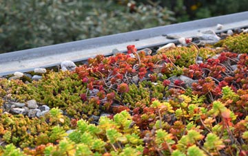 the cost of Grenofen green roof installation