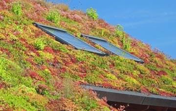 Grenofen living roof systems