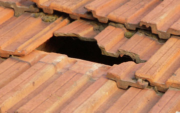 roof repair Grenofen, Devon